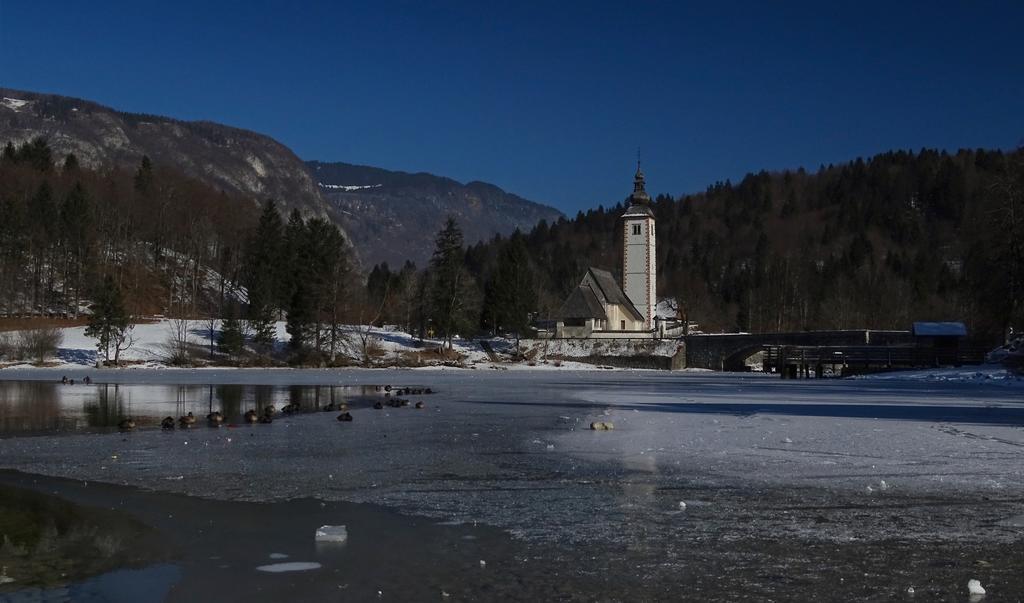 Apartments Zorc Bohinj Exterior photo